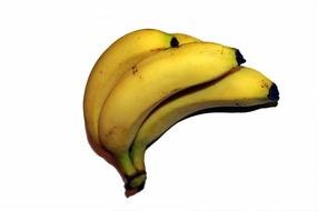 photo of ripe bananas on a white background