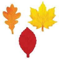 Fall Leaf Template N5