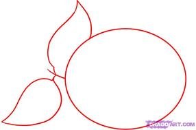 How To Draw A Easy Lemon