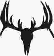 Ä°llustration of Deer Skull Logo