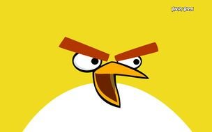 yellow angry bird close up