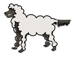 Wolf In Sheeps Clothing drawing