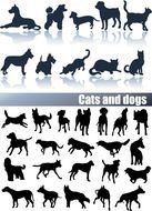 Cat And Dog Silhouette N4