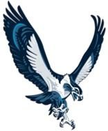 Seattle Seahawks Logo N23