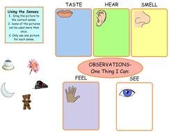 5 Senses Activity as picture for clipart