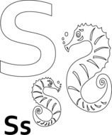 Preschool Seahorse Coloring Pages