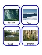 Different Animal Habitats clipart