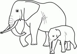 Elephant Animal Coloring Pages