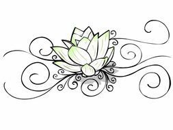 lotus flower, line art