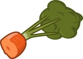 Carrot as a graphic illustration