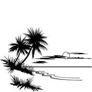 black and white image of the shore of a tropical island