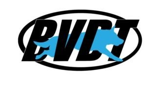 logo of BVDT