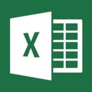 Microsoft Excel 2013 Icon
