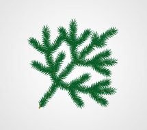 Free Christmas Clip Art Tree Branches