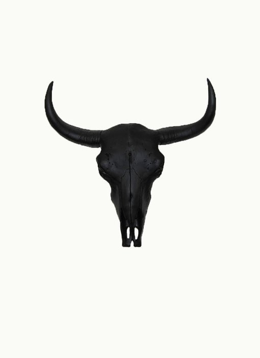 Bison Skull Drawing