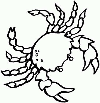 Realistic Ocean Animals Coloring Pages