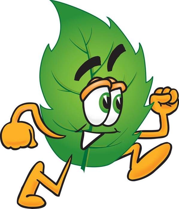 Leaf Cartoon Clip Art N8