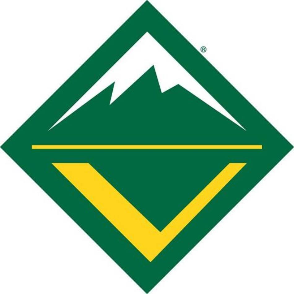 Boy Scout Logo N21