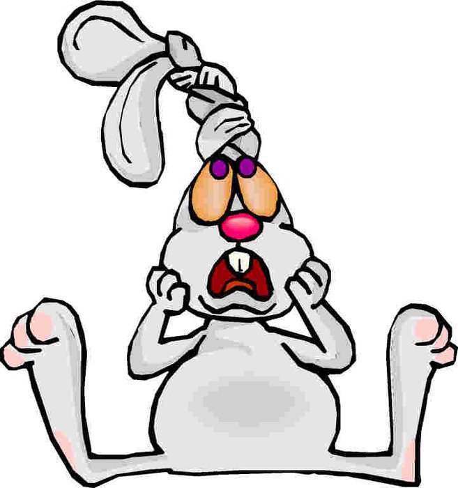 Rabbit Clip Art N61