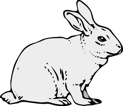 Rabbit Clip Art N62