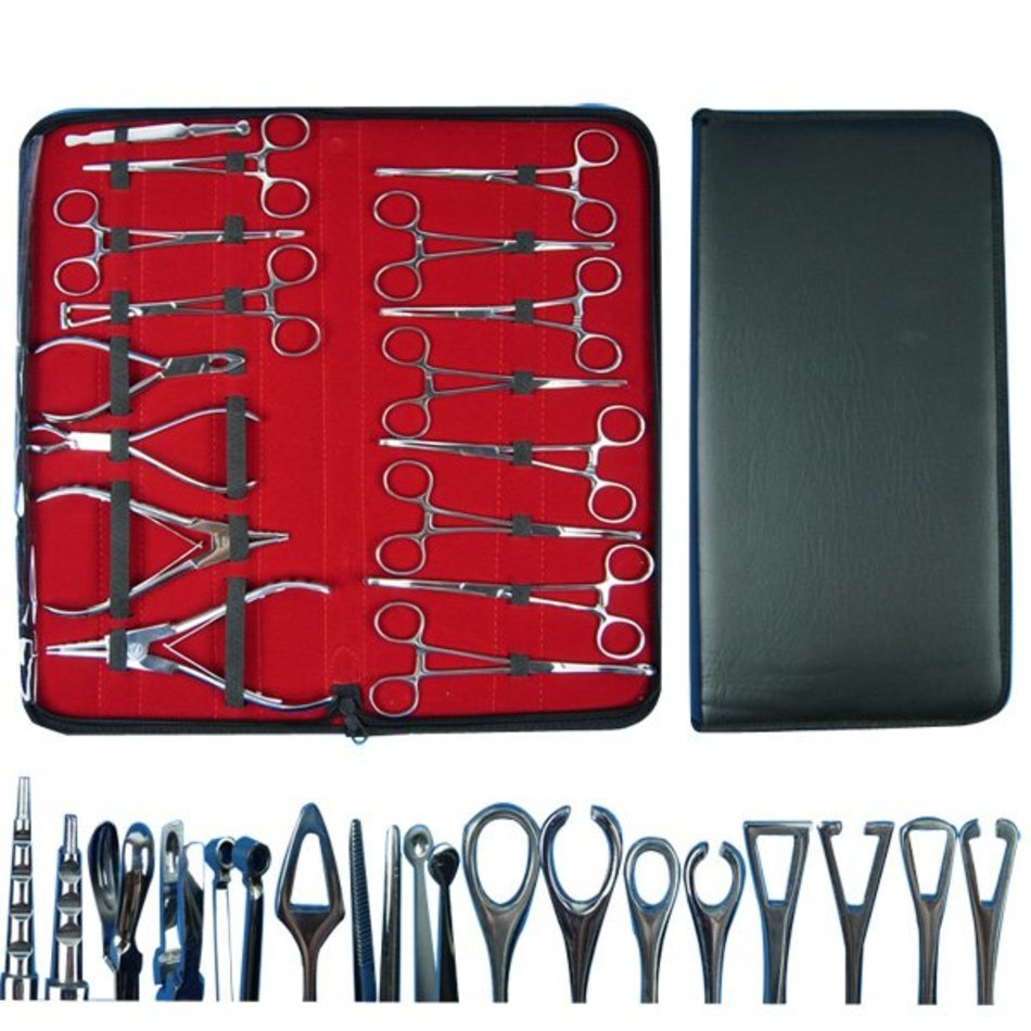 Ear Piercing Kit