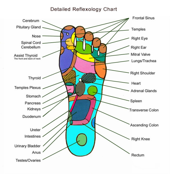 Acupressure Points On Feet free image download