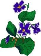 small Blue Flower drawing