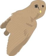 Cartoon Owl as a graphic illustration