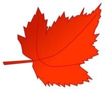 Autumn Leaf as a picture for clipart