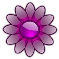 painted purple daisy