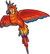 painted red parrot