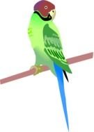 Green Parrot N2