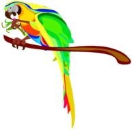 Macaw Parrot Clip Art N9