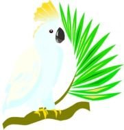 Macaw Parrot Clip Art N10