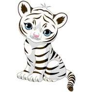 Baby White cute Tiger Drawing