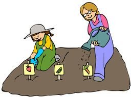 Planting Seeds Clip Art N16
