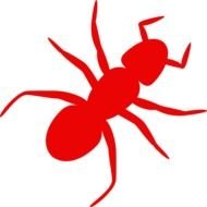Red Ant Clip Art N5