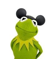 Kermit Frog with Mickey Mouse Ears