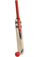 Clip art of Cricket Bat And Ball