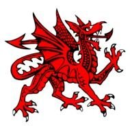 Welsh Red Dragon N3