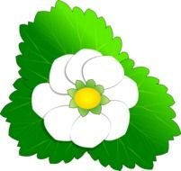 Clipart of strawberry flower