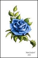 Clip art of blue Rose Tattoo Design