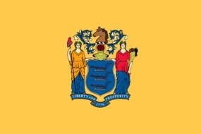 New Jersey State Flag as an illustration