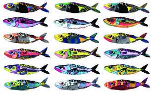 colorful fish types