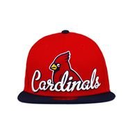 St Louis Cardinals Team