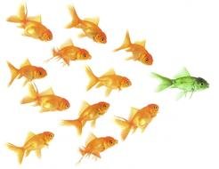 Fish Leader as picture for clipart