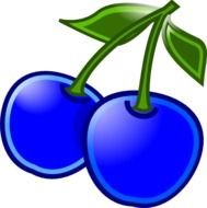 Blueberry Clip Art N29
