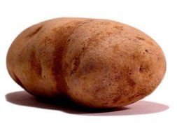 Potato Clip Art drawing