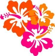 Orange Hibiscus Flower Clip Art