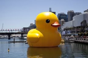 Picture of Big Rubber Duck